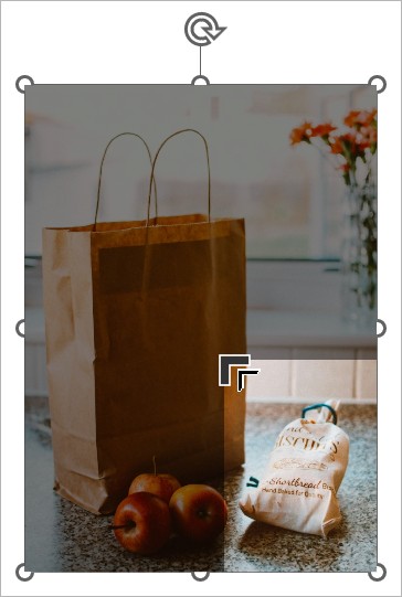 Cropping an image
