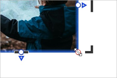 Resizing a think-cell image in Fill Frame mode