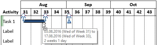 Gantt chart activity row with timeline items linked to the datasheet
